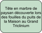Tête en marbre de paysan découverte lors des fouilles du puits de la Maison au Grand Triclinium